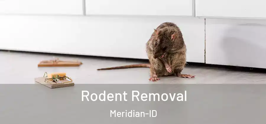 Rodent Removal Meridian-ID