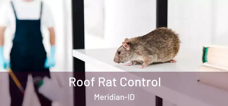 Roof Rat Control Meridian-ID