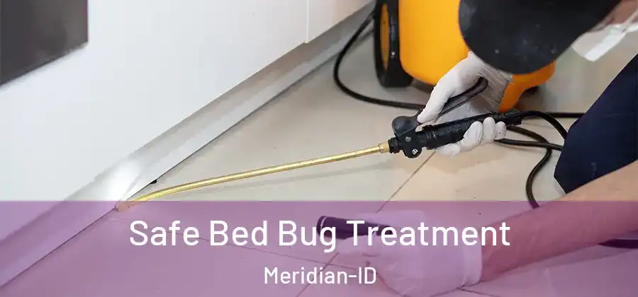 Safe Bed Bug Treatment Meridian-ID