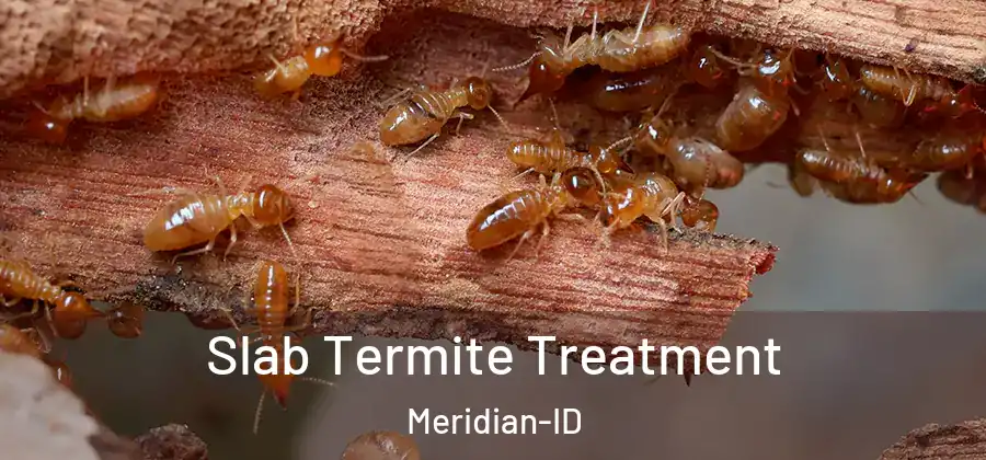  Slab Termite Treatment Meridian-ID