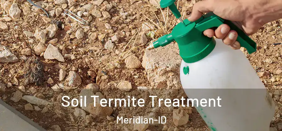  Soil Termite Treatment Meridian-ID