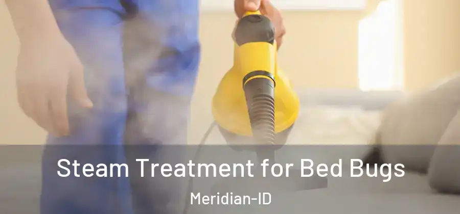 Steam Treatment for Bed Bugs Meridian-ID
