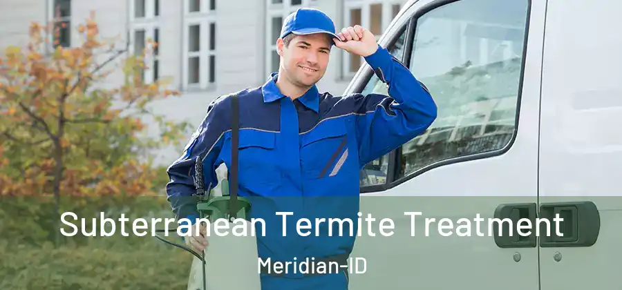 Subterranean Termite Treatment Meridian-ID