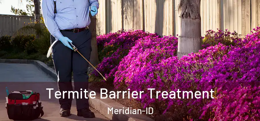 Termite Barrier Treatment Meridian-ID