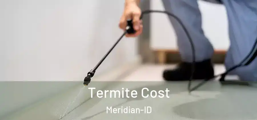  Termite Cost Meridian-ID