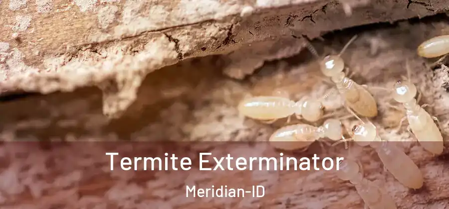  Termite Exterminator Meridian-ID