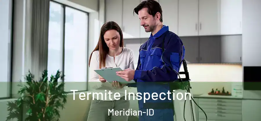 Termite Inspection Meridian-ID