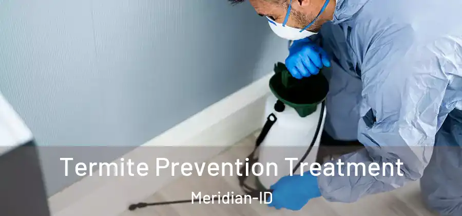 Termite Prevention Treatment Meridian-ID