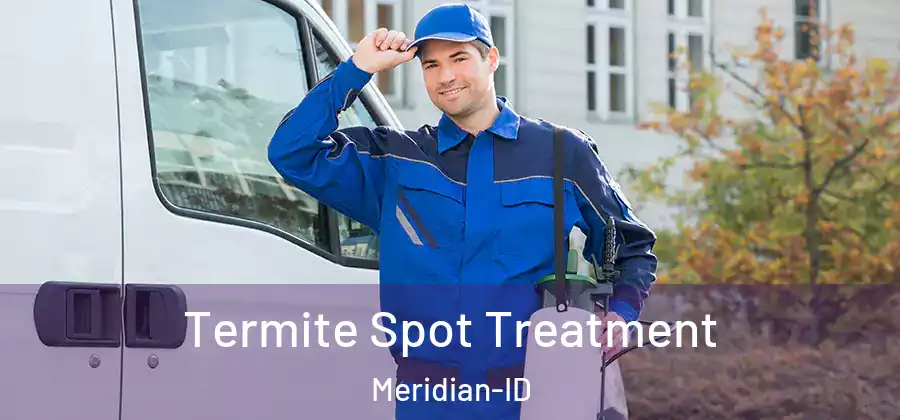 Termite Spot Treatment Meridian-ID