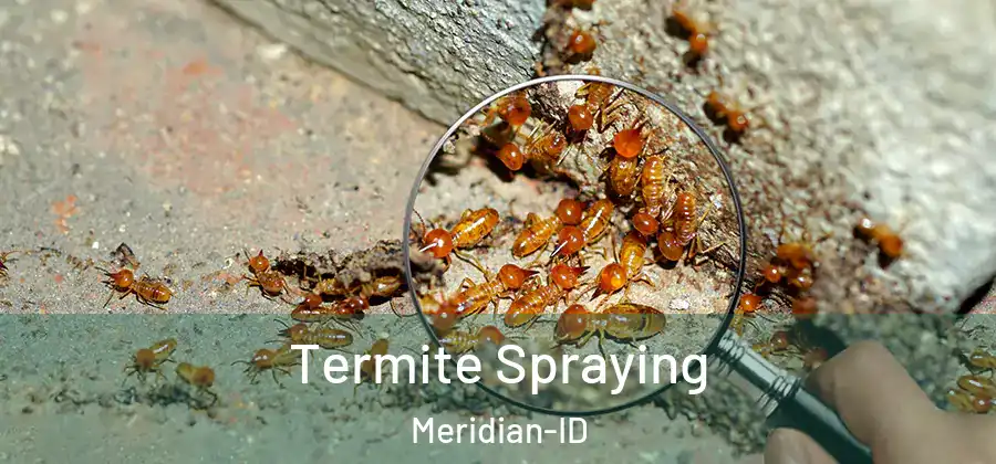  Termite Spraying Meridian-ID