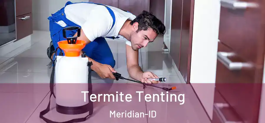  Termite Tenting Meridian-ID