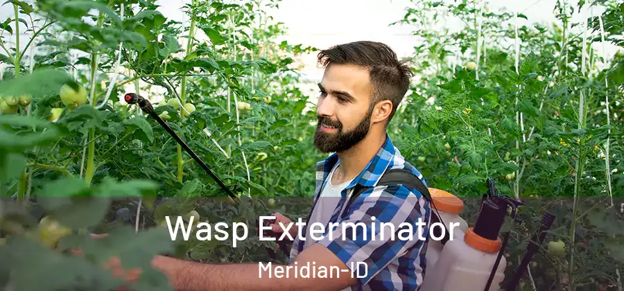 Wasp Exterminator Meridian-ID