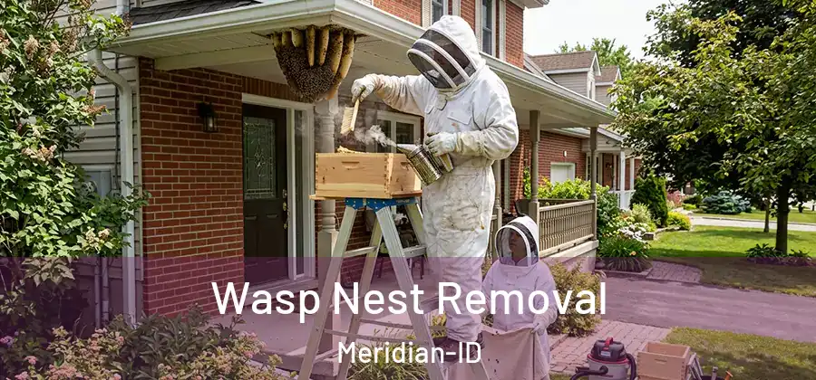  Wasp Nest Removal Meridian-ID