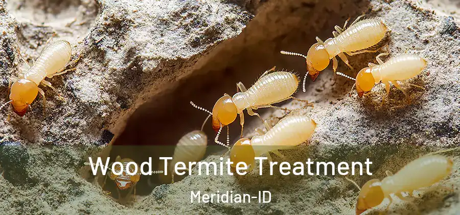 Wood Termite Treatment Meridian-ID