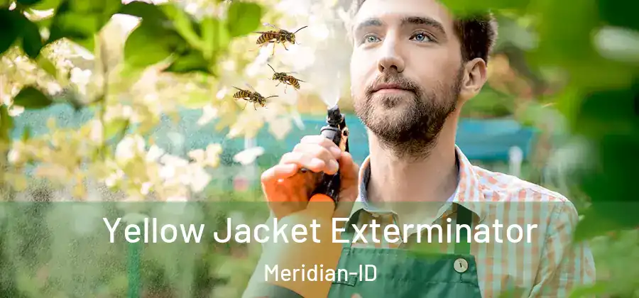 Yellow Jacket Exterminator Meridian-ID