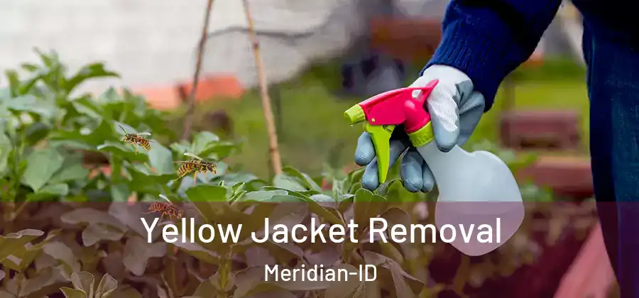 Yellow Jacket Removal Meridian-ID